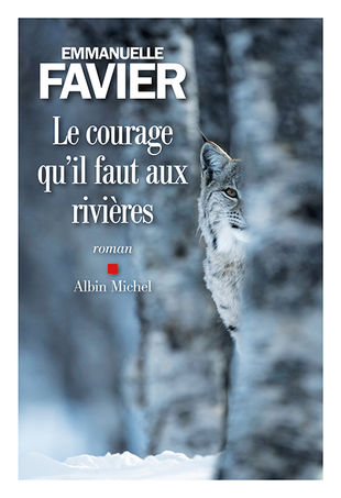 E Favier A Michel