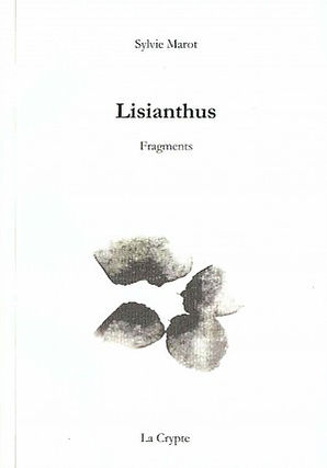 Lisianthus - Sylvie Marot